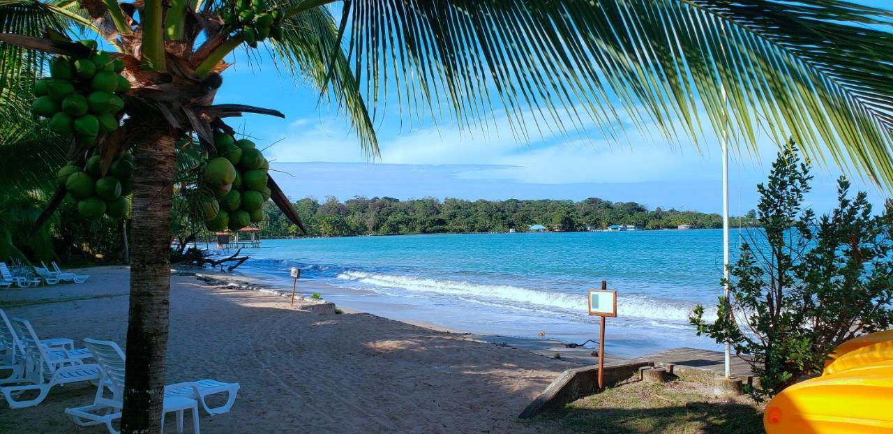Playa Tortuga Hotel And Beach Resort Bocas Town Dış mekan fotoğraf