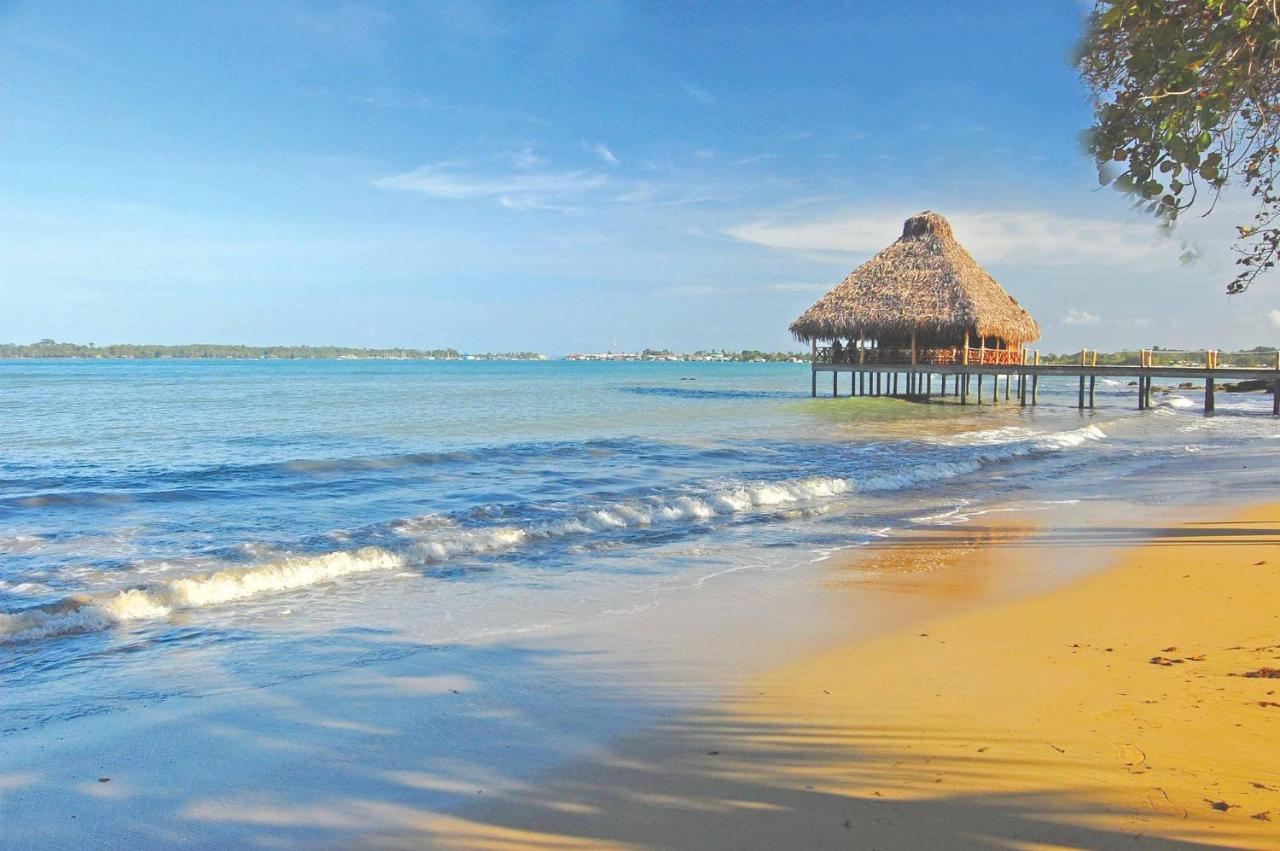 Playa Tortuga Hotel And Beach Resort Bocas Town Konforlar fotoğraf